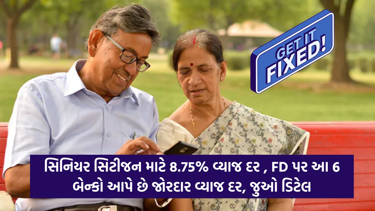 Top FD Rates for Senior Citizens: સિનિયર સિટીજન માટે 8.75% વ્યાજ દર , FD પર આ 6 બેન્કો આપે છે જોરદાર વ્યાજ દર, જુઓ ડિટેલ