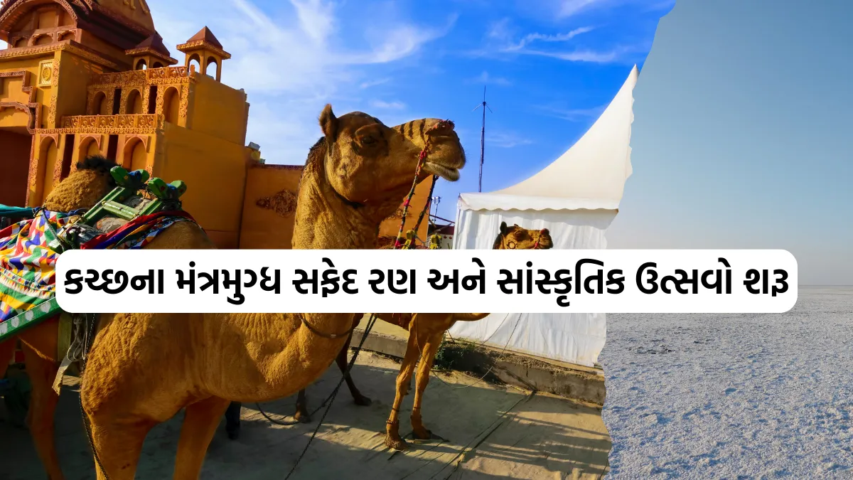 Kutch Rann Utsav 2024: કચ્છના મંત્રમુગ્ધ સફેદ રણ અને સાંસ્કૃતિક ઉત્સવો શરૂ